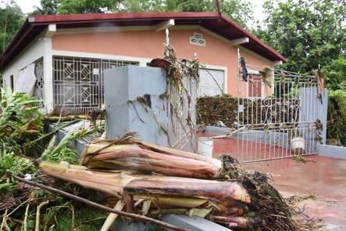 Rainfall in Jamaica